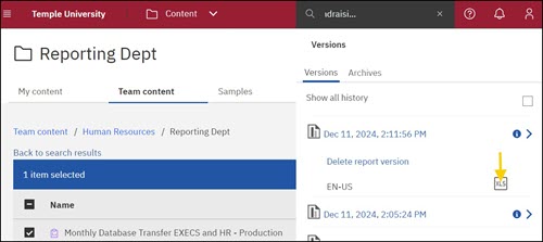 Cognos Report Options